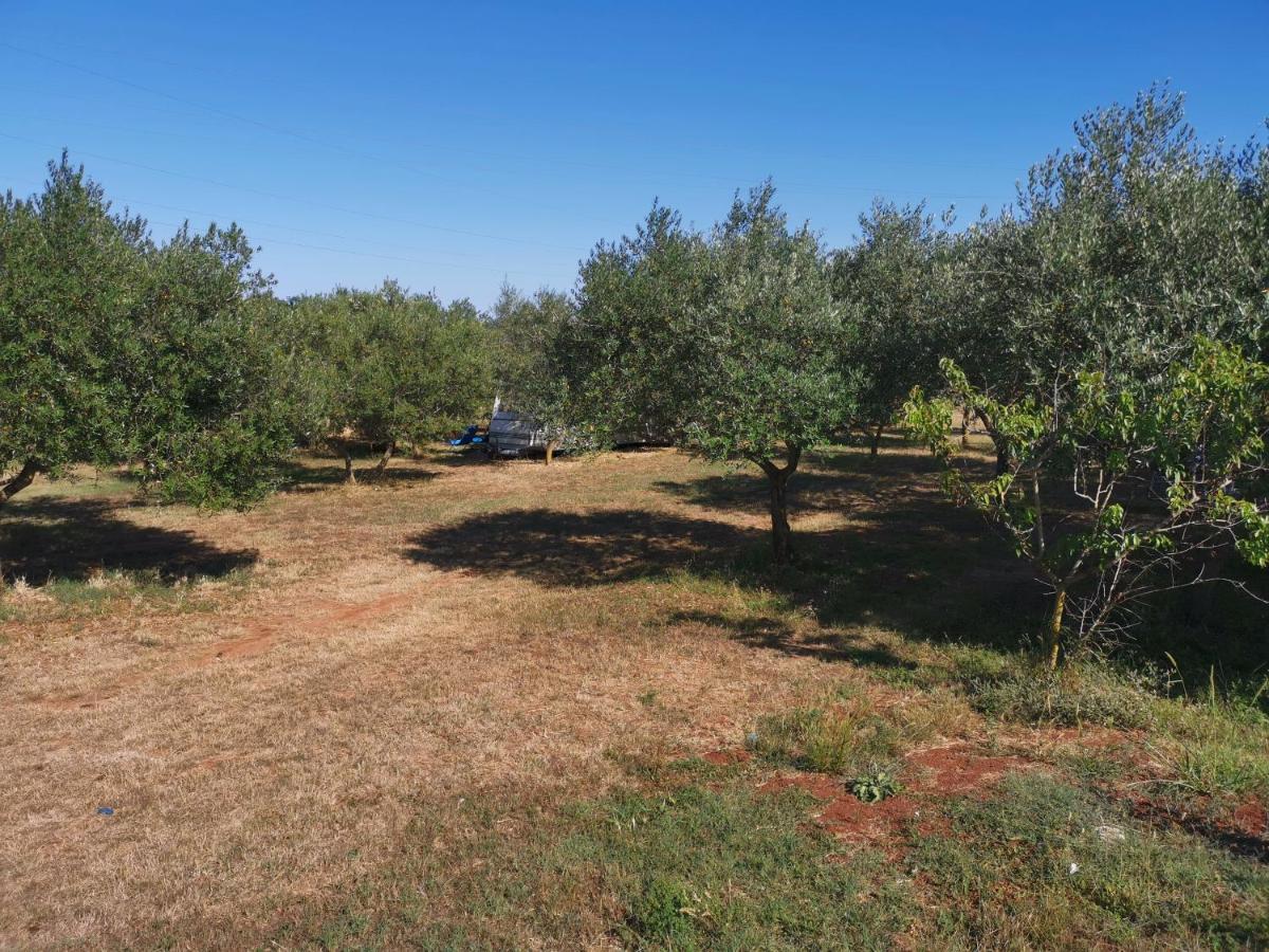 Jacuzi Cottage In The Olive Grove Pula Eksteriør billede