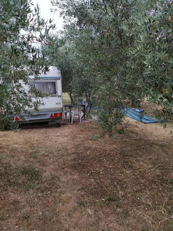 Jacuzi Cottage In The Olive Grove Pula Eksteriør billede