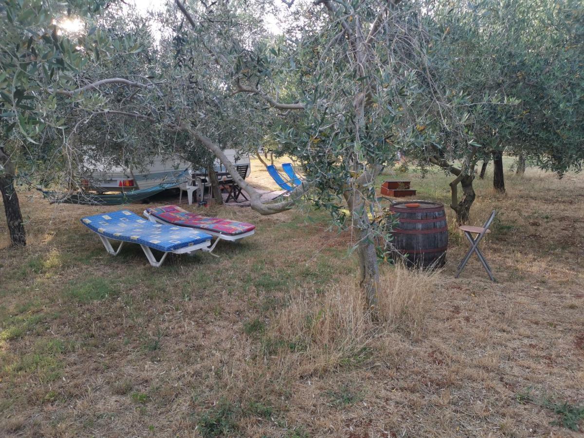 Jacuzi Cottage In The Olive Grove Pula Eksteriør billede