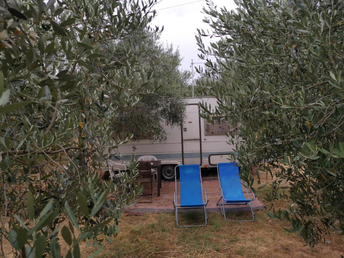 Jacuzi Cottage In The Olive Grove Pula Eksteriør billede