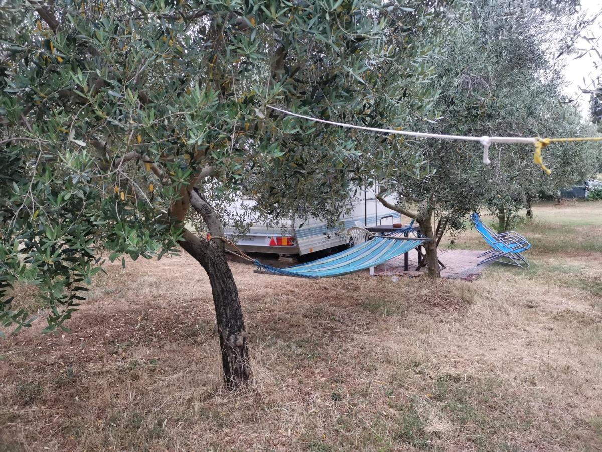 Jacuzi Cottage In The Olive Grove Pula Eksteriør billede