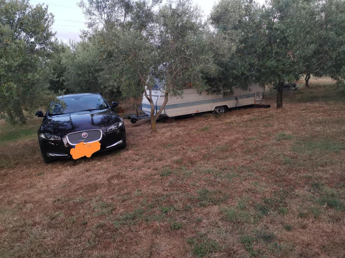 Jacuzi Cottage In The Olive Grove Pula Eksteriør billede