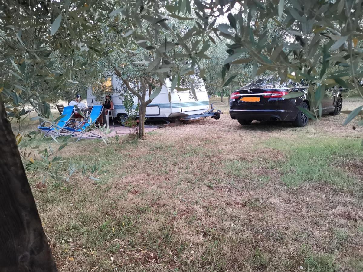 Jacuzi Cottage In The Olive Grove Pula Eksteriør billede