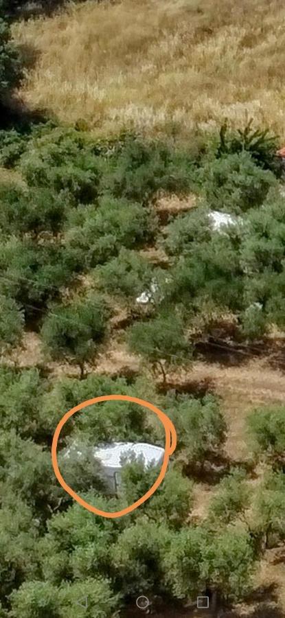 Jacuzi Cottage In The Olive Grove Pula Eksteriør billede