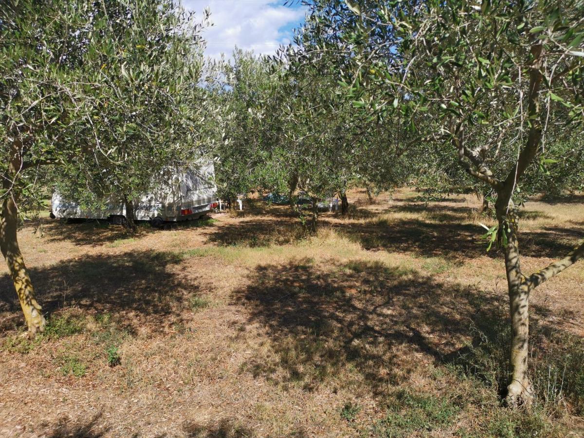 Jacuzi Cottage In The Olive Grove Pula Eksteriør billede