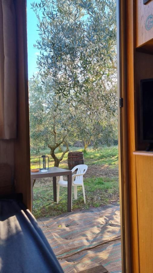 Jacuzi Cottage In The Olive Grove Pula Eksteriør billede