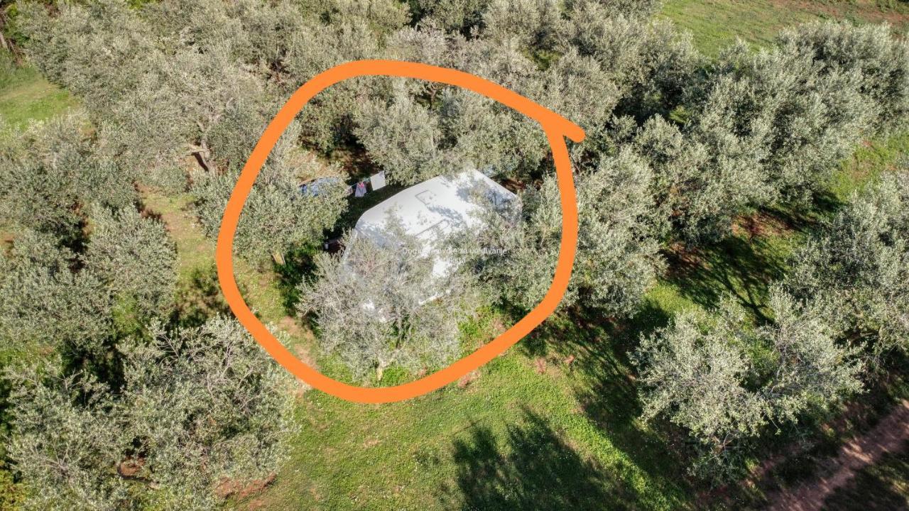 Jacuzi Cottage In The Olive Grove Pula Eksteriør billede